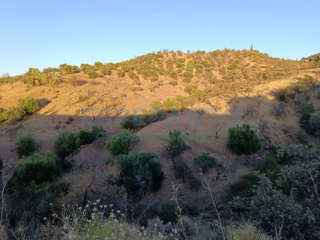 Country homes for sale in Guaro, Málaga