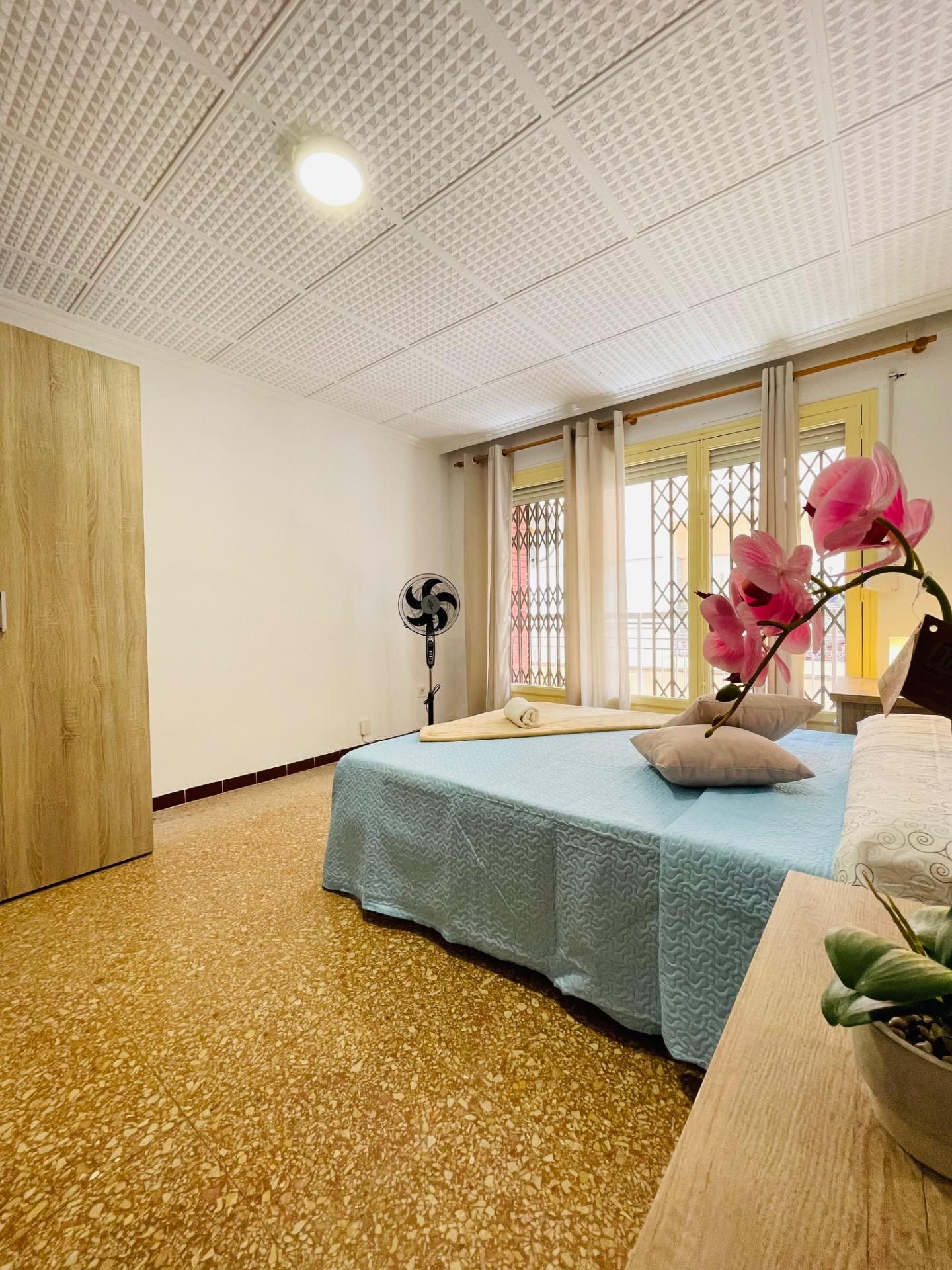 Habitación de Piso para compartir en Alicante / Alacant con Terraza, Amueblado y Balcón