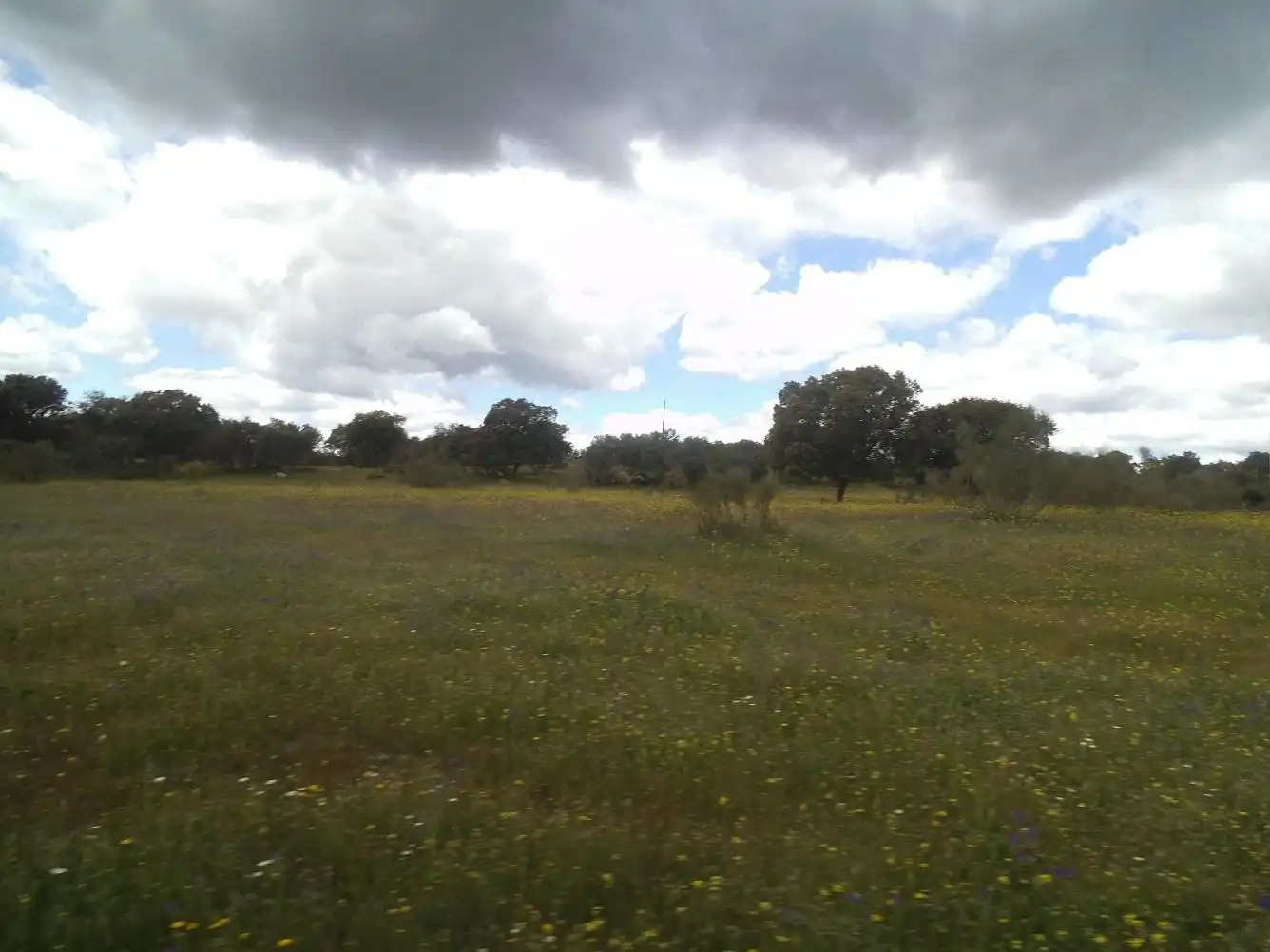 Residencial en venda en Valdemorillo