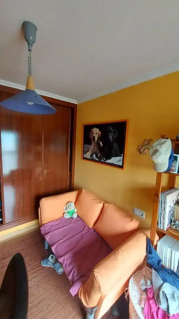 Sala d'estar de Pis en venda en San Cibrao das Viñas