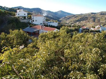 Terreny residencial en venda a Canillas de Albaida