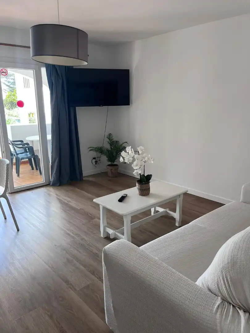 Sala d'estar de Apartament en venda en Alaior amb Aire condicionat, Parquet i Terrassa