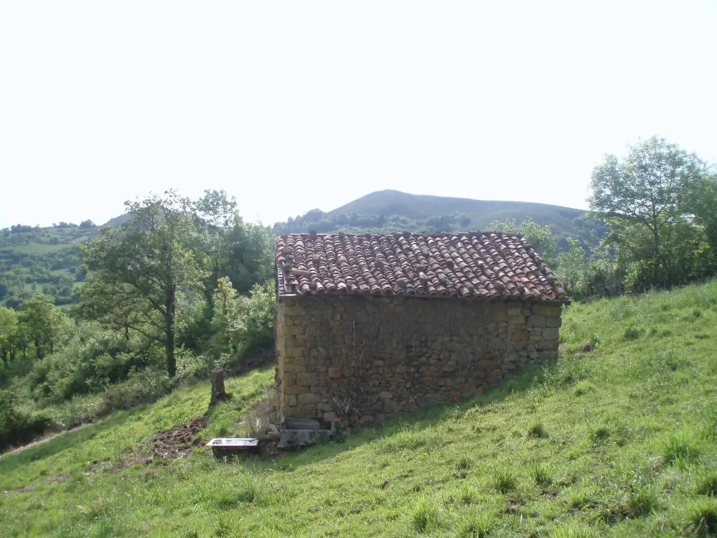 Terreny rústic en venda a Grado, imagen 12