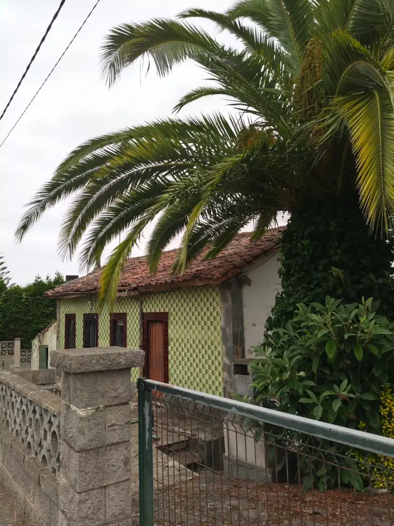 Exterior view of Houses for sale in Castrillón