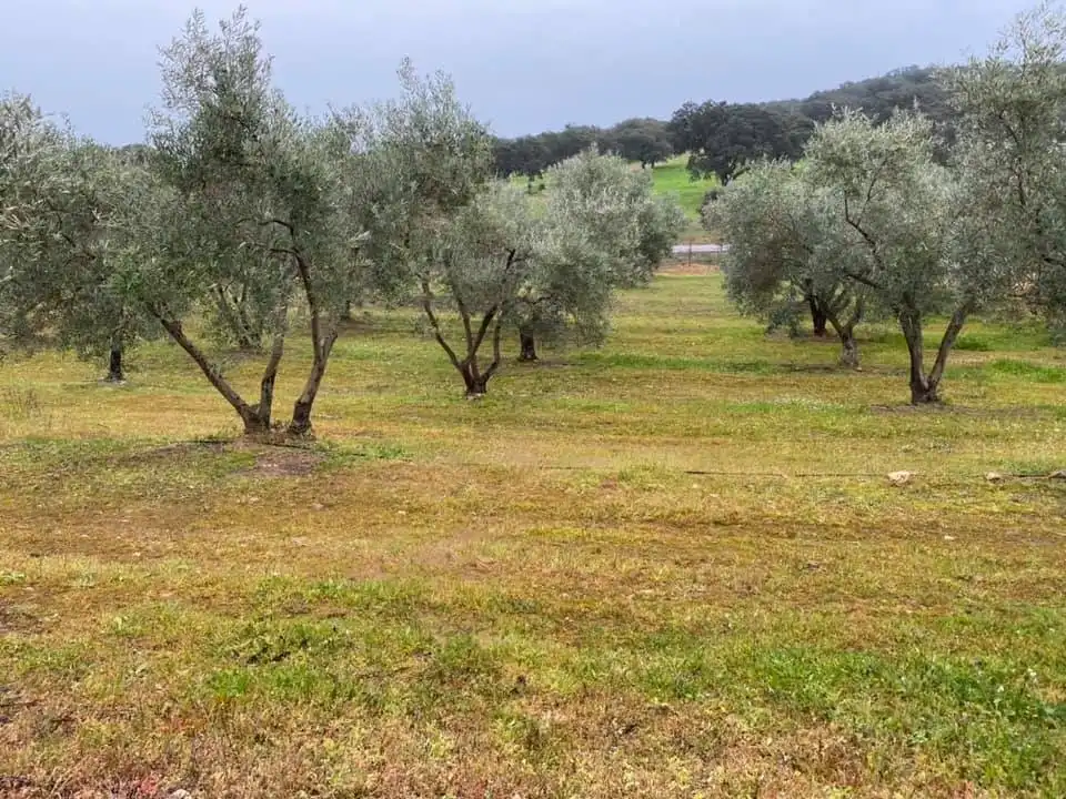 Casa o xalet en venda en La Granjuela amb Calefacció, Jardí privat i Traster