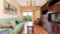 Living room of Flat for sale in  Madrid Capital  with Air Conditioner, Terrace and Balcony