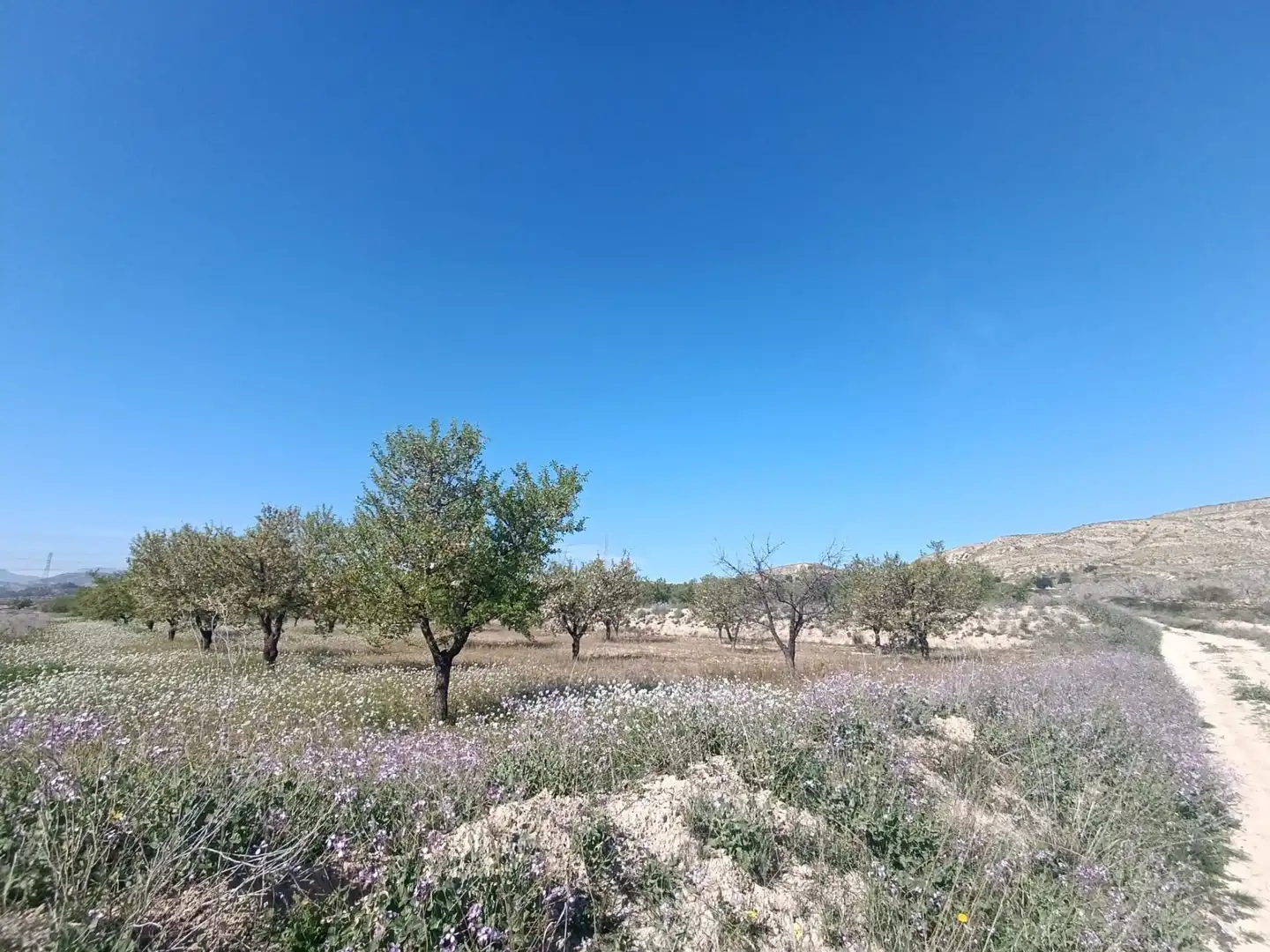 Haus oder Chalet zum Verkauf in Murcia mit Klimaanlage, Heizung und Privatgarten