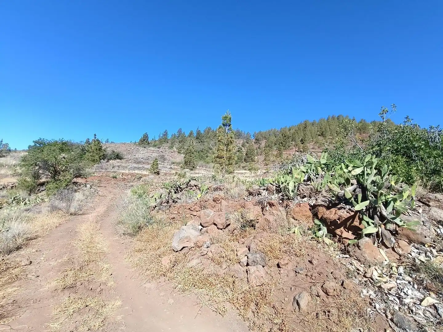 Terreno rústico en venta en M\A LIRIOS. VILAFLOR DE CHASNA [S.C. TENERIFE], imagen 29
