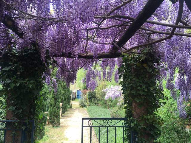 Piso en Alquiler en Pont Major en Pont Major - Pedret - Campdorà