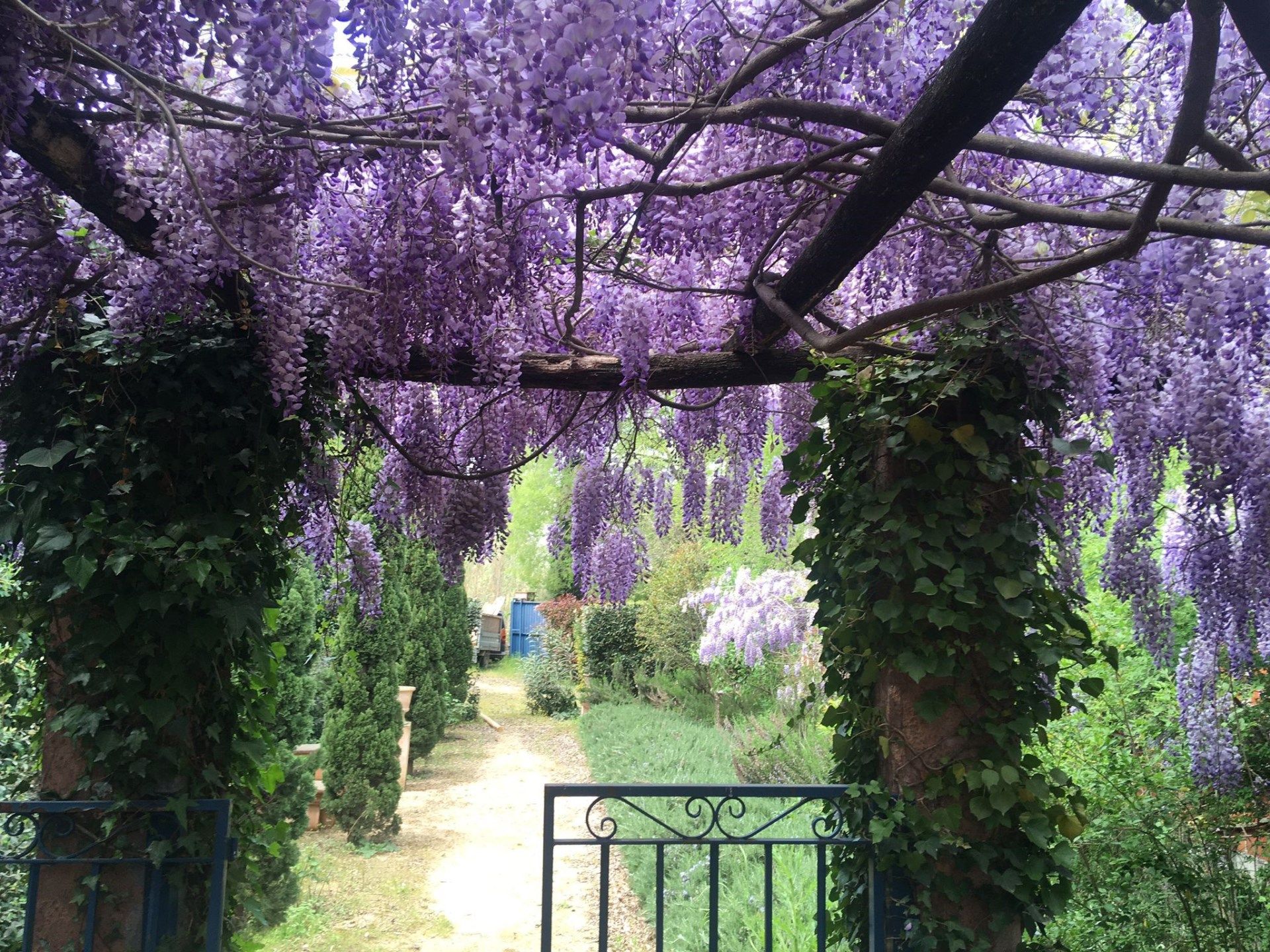 Jardí de Pis de lloguer en Girona Capital amb Aire condicionat, Calefacció i Terrassa