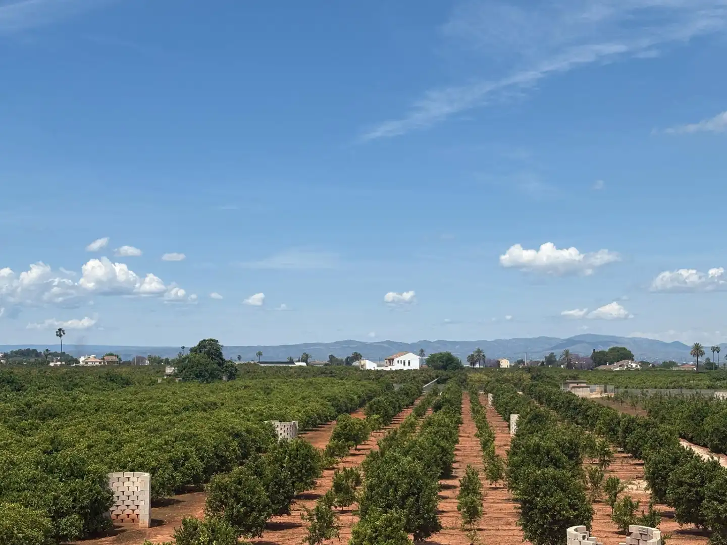 Country homes for sale in Alzira  with Private garden, Terrace and Swimming Pool