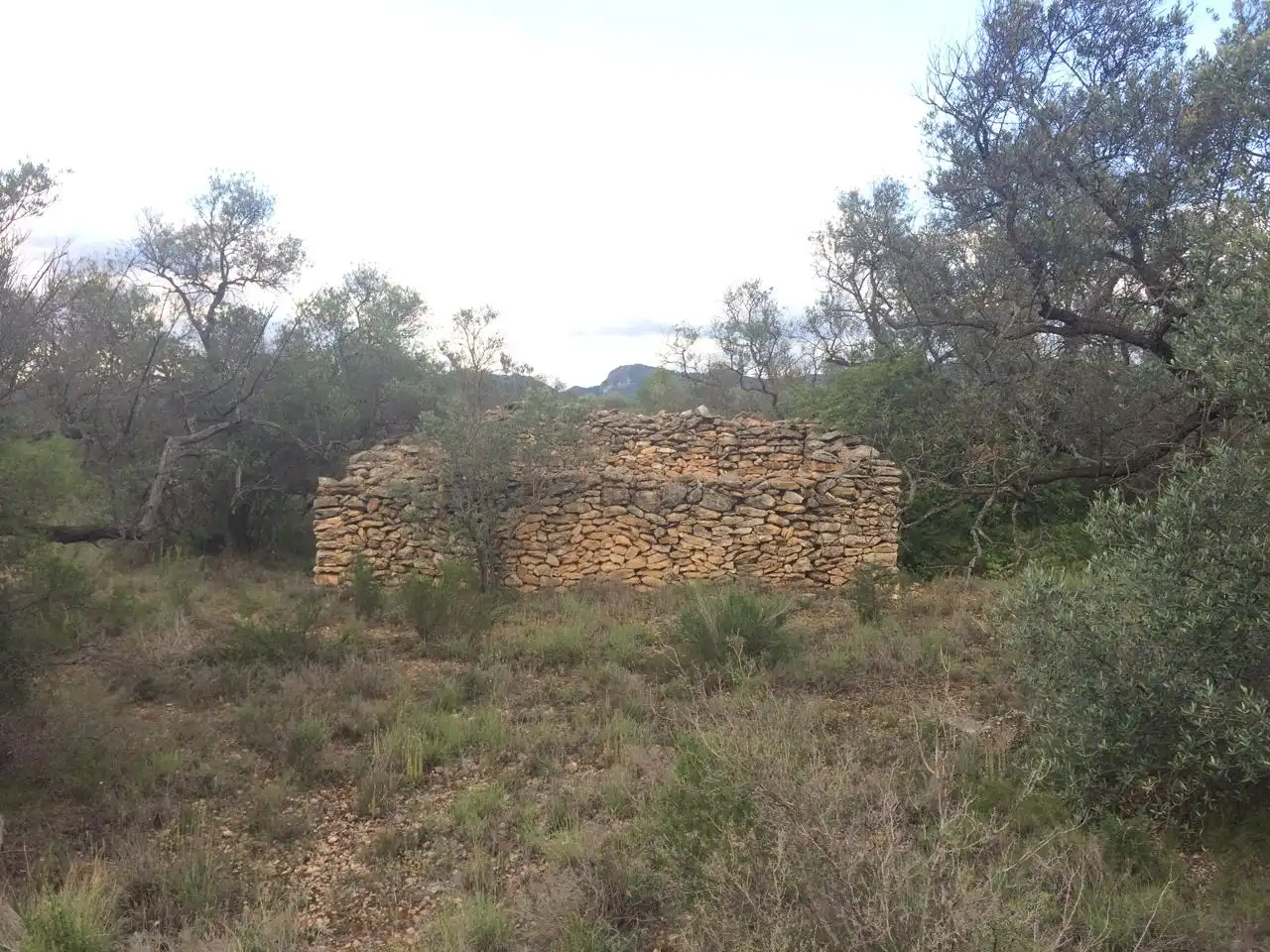 Terrain rustique à vendre à Les Planes, imagen 6