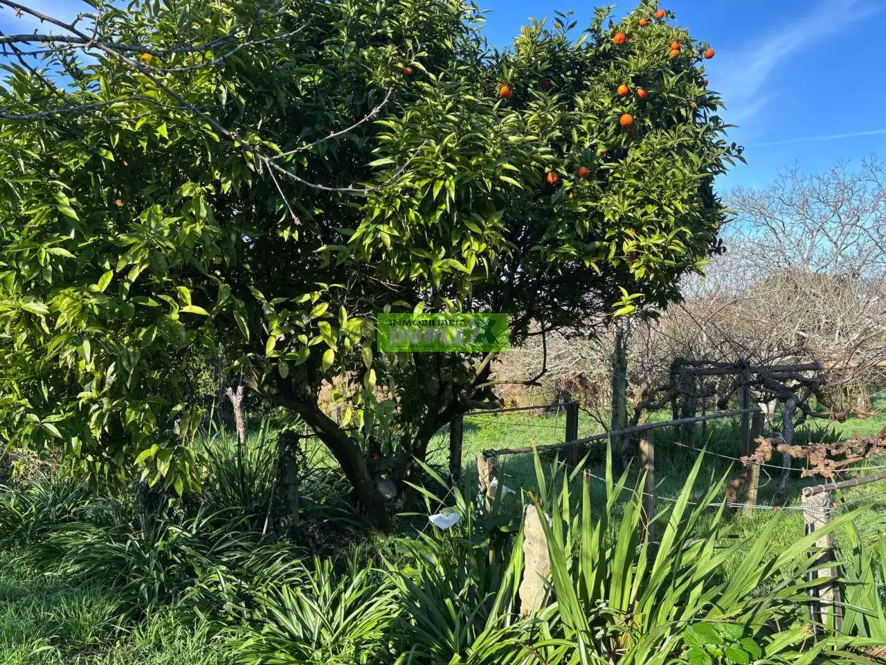 Maison avec jardin à vendre à Zona Fernández Ladreda, imagen 57