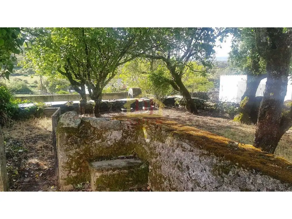 Vista exterior de Casa o xalet en venda en Membribe de la Sierra amb Jardí privat i Terrassa