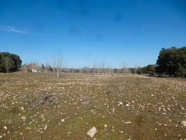 Rural land for sale in Paredes de Escalona, imagen 8