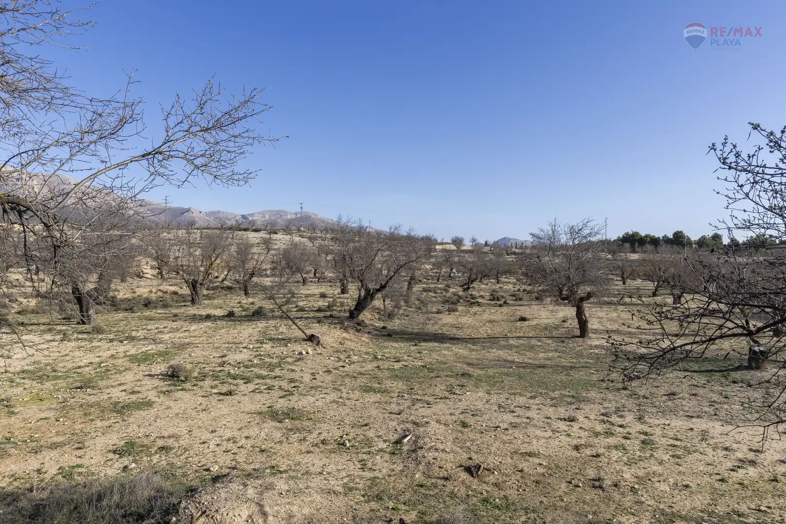 Rural land for sale in Paraje el Vivero 1, imagen 12