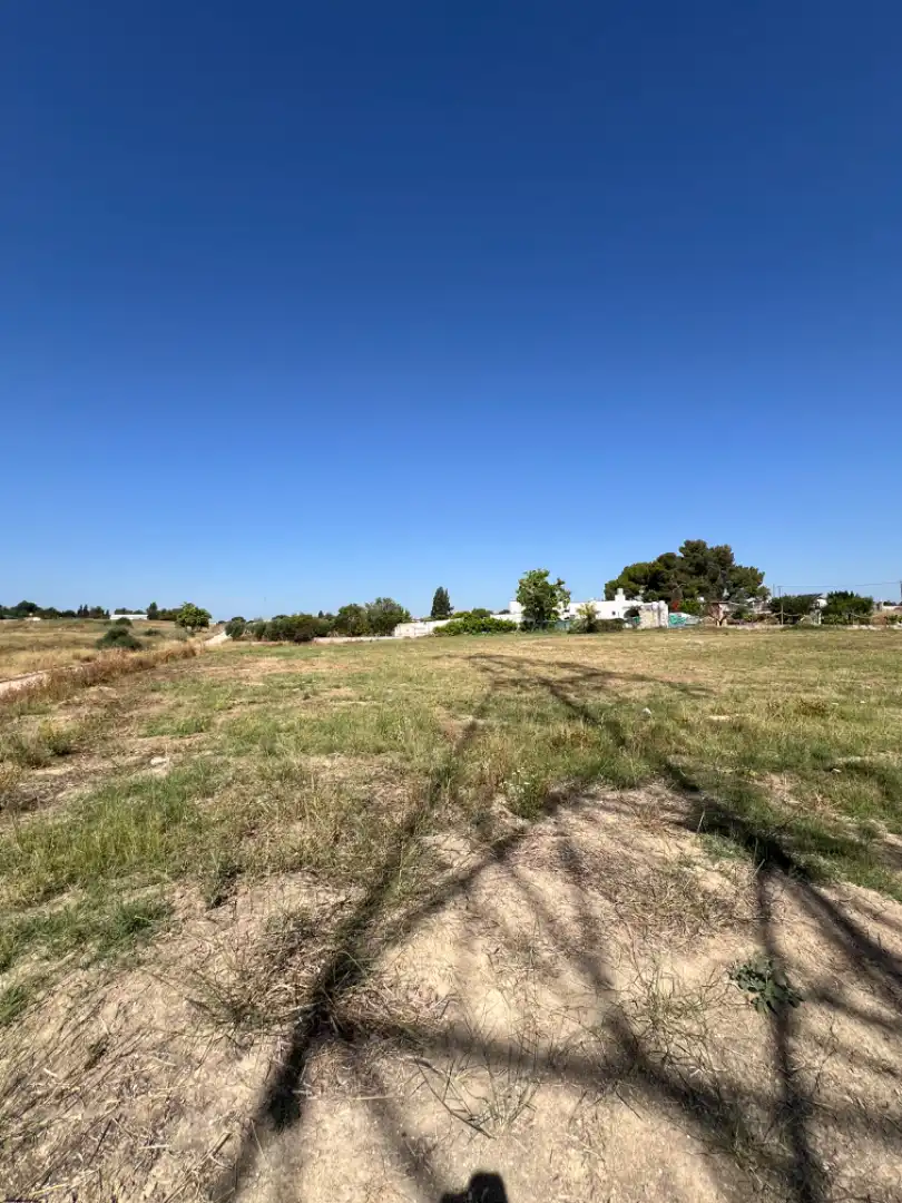 Rural land for sale in Almensilla, imagen 7