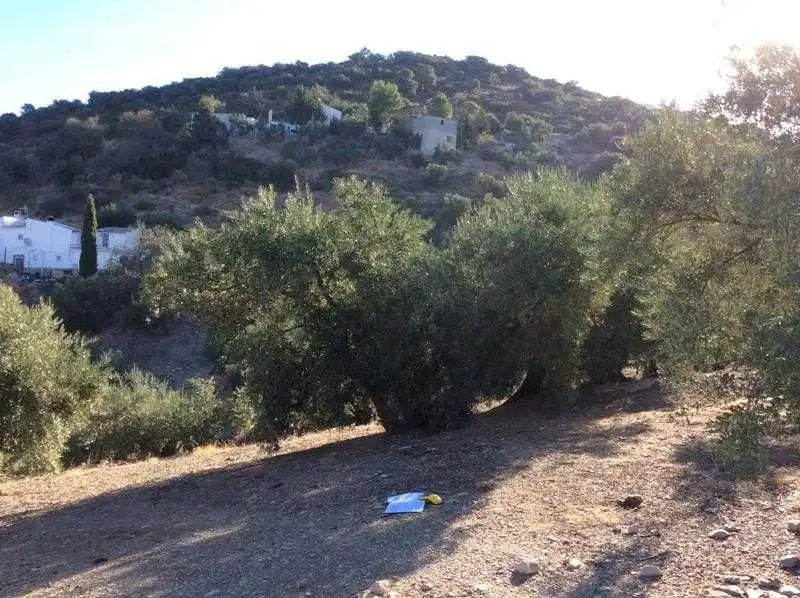Terreni e lotti in vendita a Castillo de Locubín, imagen 2