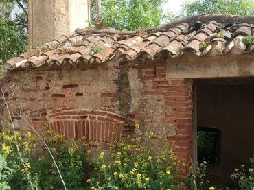 Terreno rústico en venta en La Zarza (Badajoz)