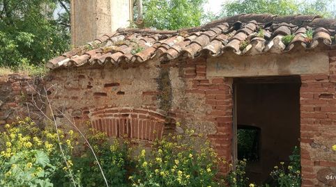 Terreno rústico en venta – 2,2 ha La Zarza (Badajoz)