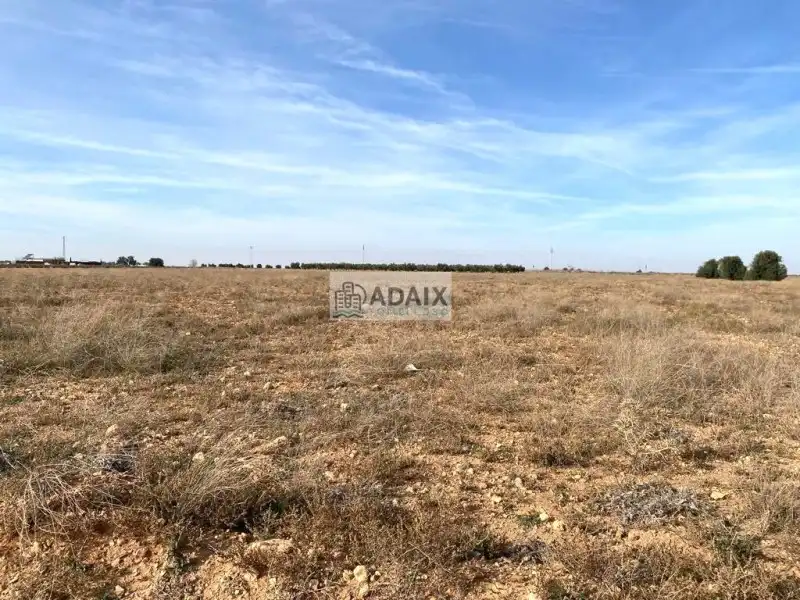 Terrenos y solares en venta en Socuéllamos, imagen 2