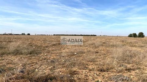 Terreno Urbanizable en Venta en  Socuéllamos, Ciudad Real, imatge 2