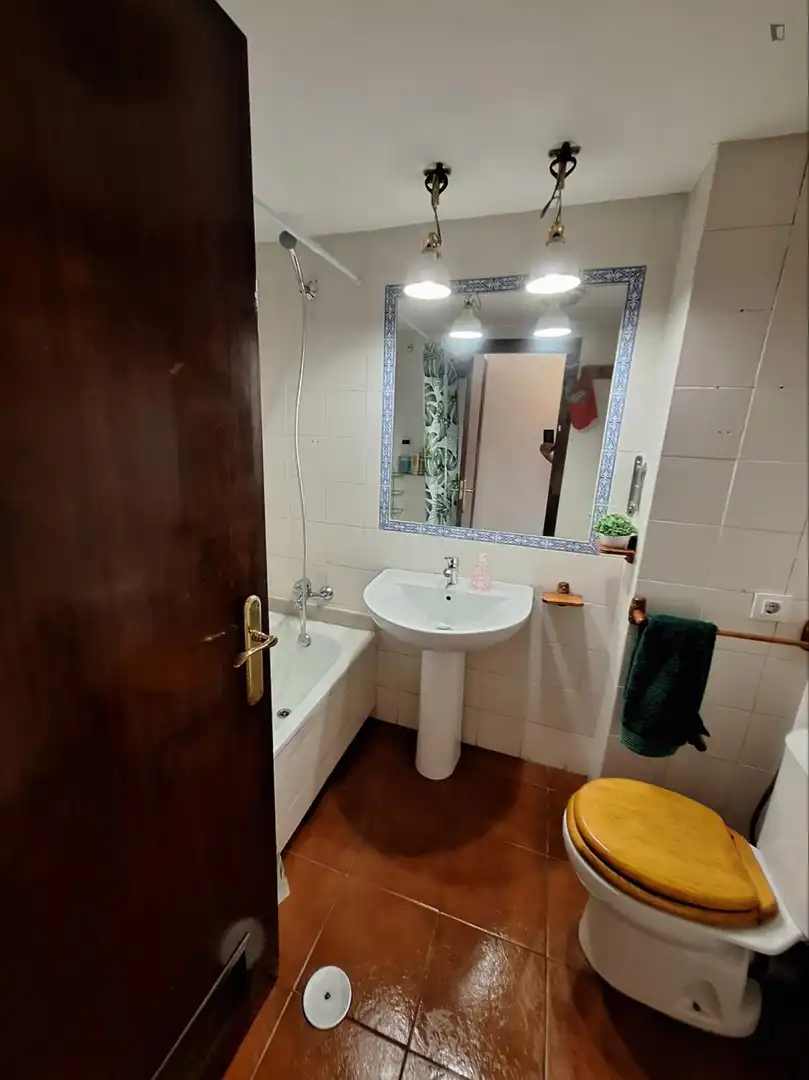Bathroom of Apartments for share in Sevilla  with Furnished, Washing machine and Internet