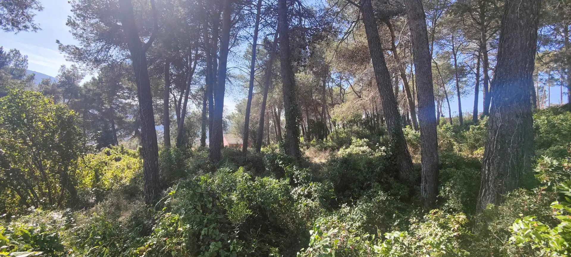 Terreny residencial en venda a Olesa de Bonesvalls, imagen 11