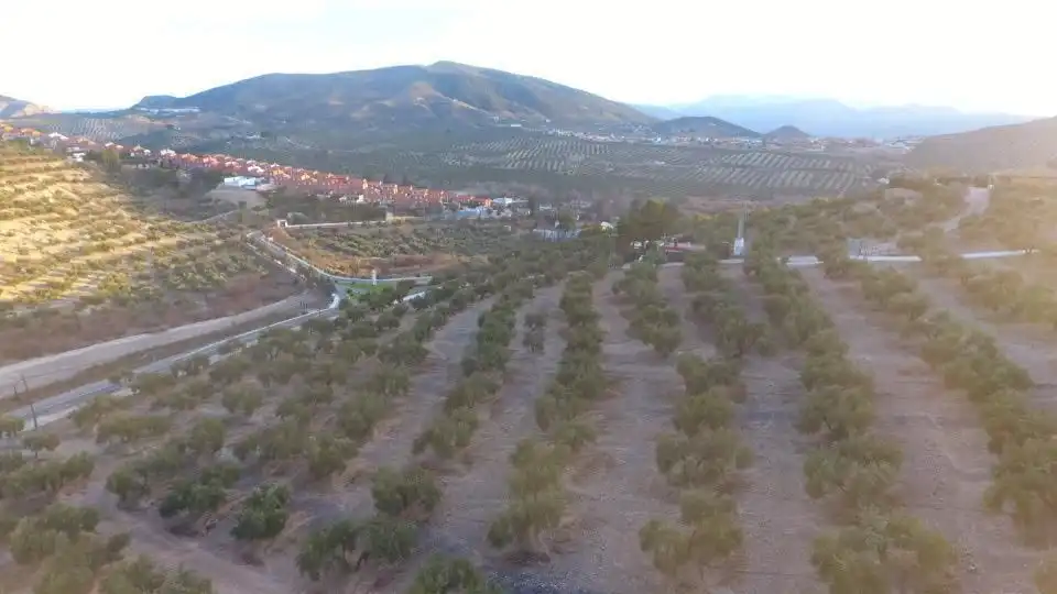 Terreni e lotti in vendita a La Guardia de Jaén, imagen 5
