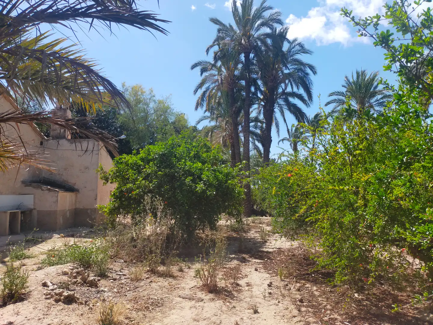 Casa rustica in vendita a Algorós - El Derramador, imagen 12