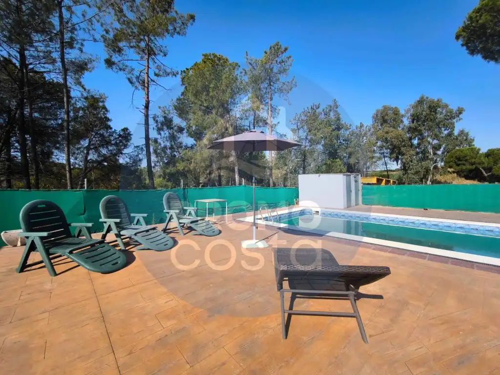 Swimming pool of Country homes for sale in Gibraleón, Huelva
