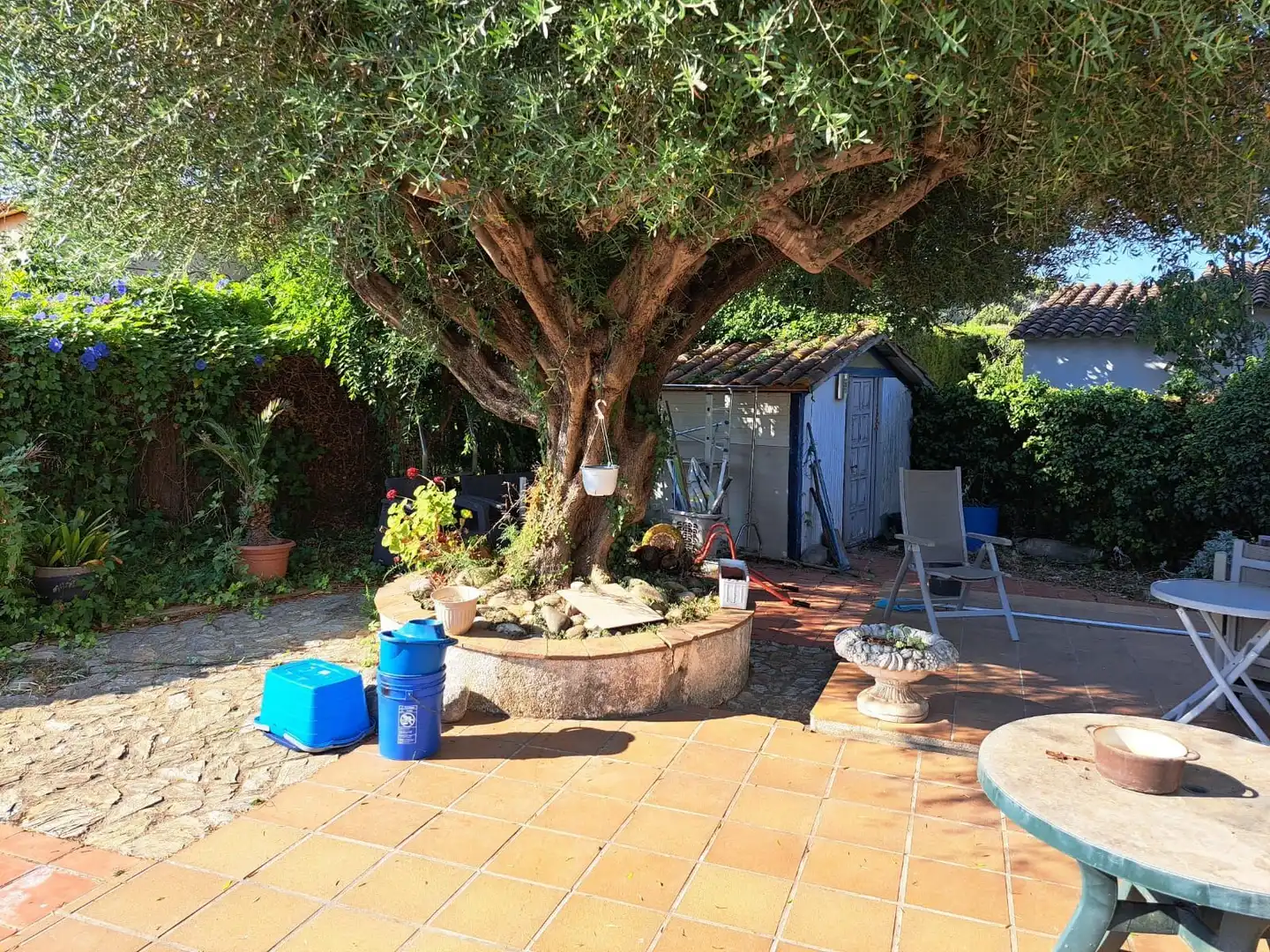 Jardí de Casa o xalet en venda en Pals amb Aire condicionat, Calefacció i Jardí privat