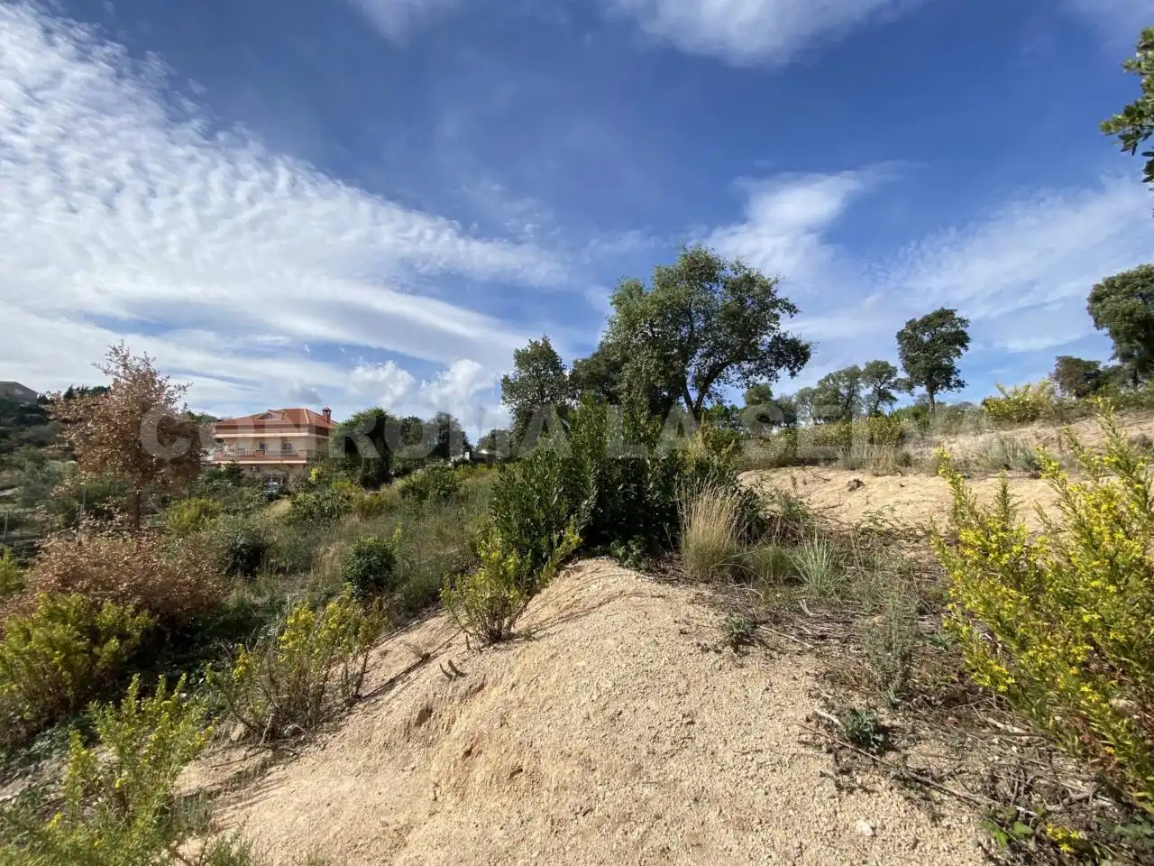 Rural land for sale in Riudarenes, imagen 5