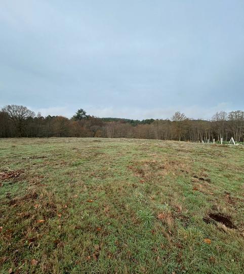 Foto 2 de Terreno en venta en Camiño Do Abanico, O Irixo, Ourense