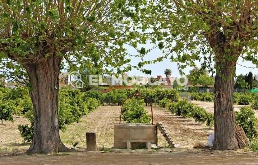 Apartment with lift for sale in Benijófar, imagen 35