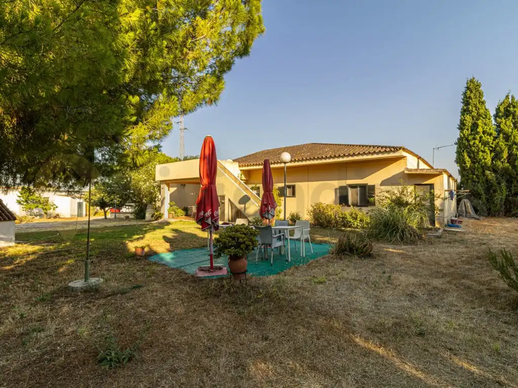 Vista exterior de Casa o chalet en venta en Jerez de la Frontera