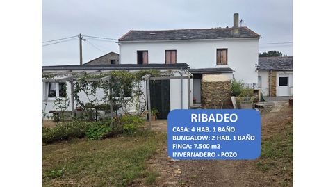 CASA CON FINCA EN RIBADEO