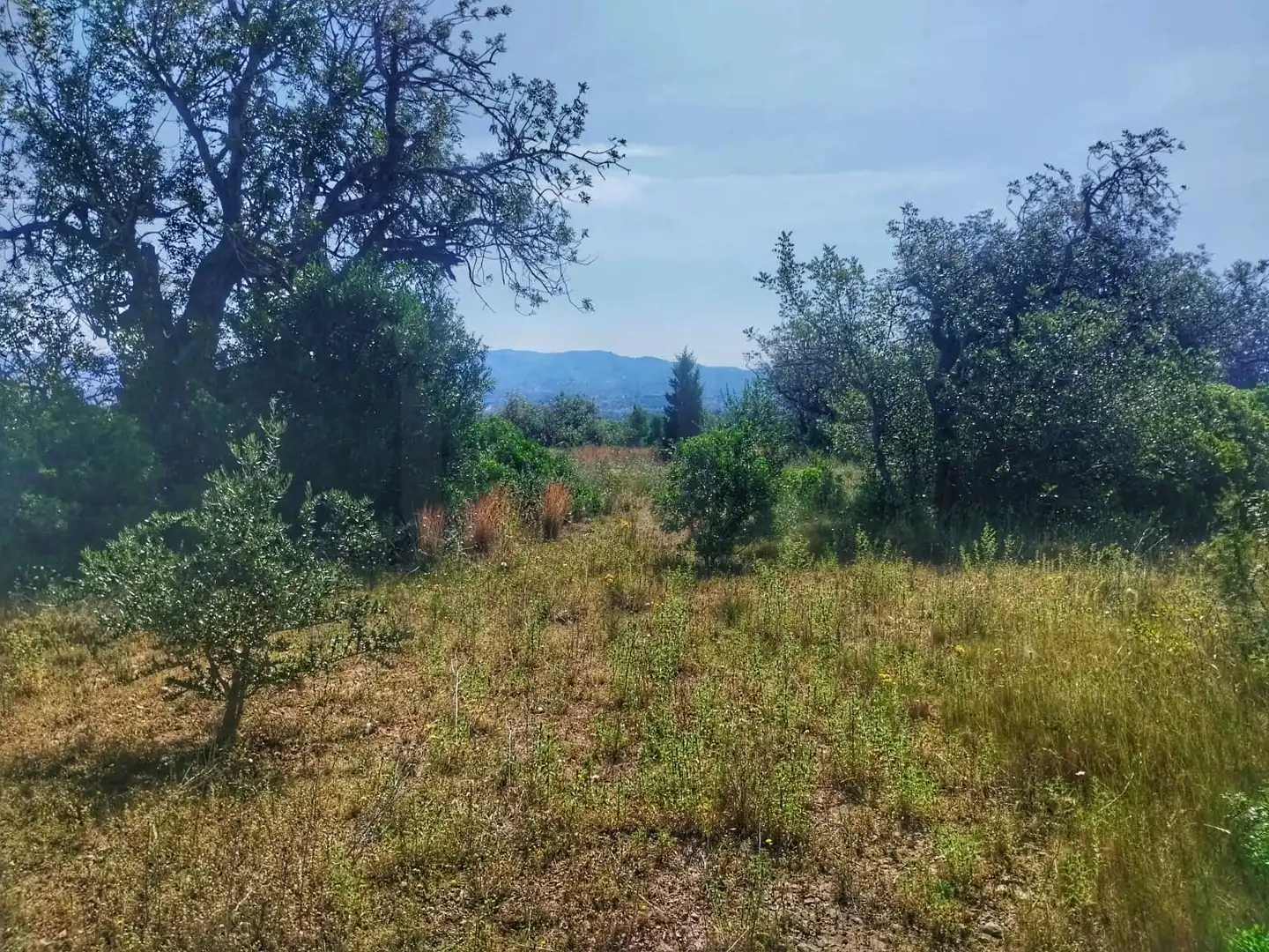 Terrain rustique à vendre à Roquetes, imagen 10