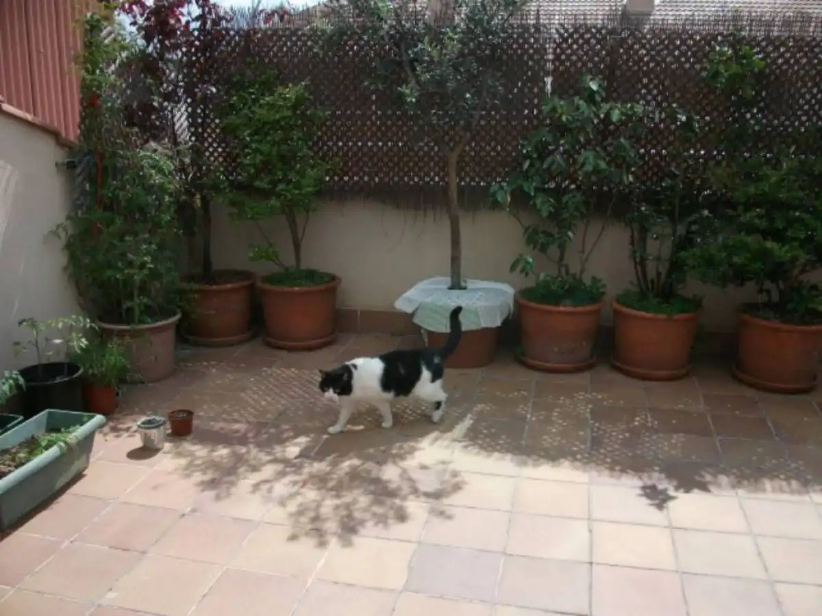 Jardí de Dúplex en venda en Manresa amb Aire condicionat, Calefacció i Terrassa