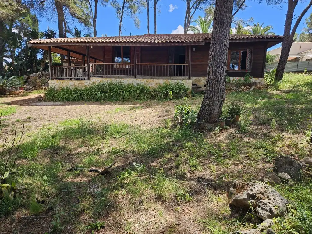 Vista exterior de Casa o chalet en venta en Alberic con Jardín privado, Terraza y Piscina