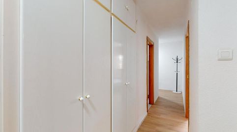 Foto 5 de Habitación en Parque Geólogo José Royo Gómez, Castellón de la Plana / Castelló de la Plana