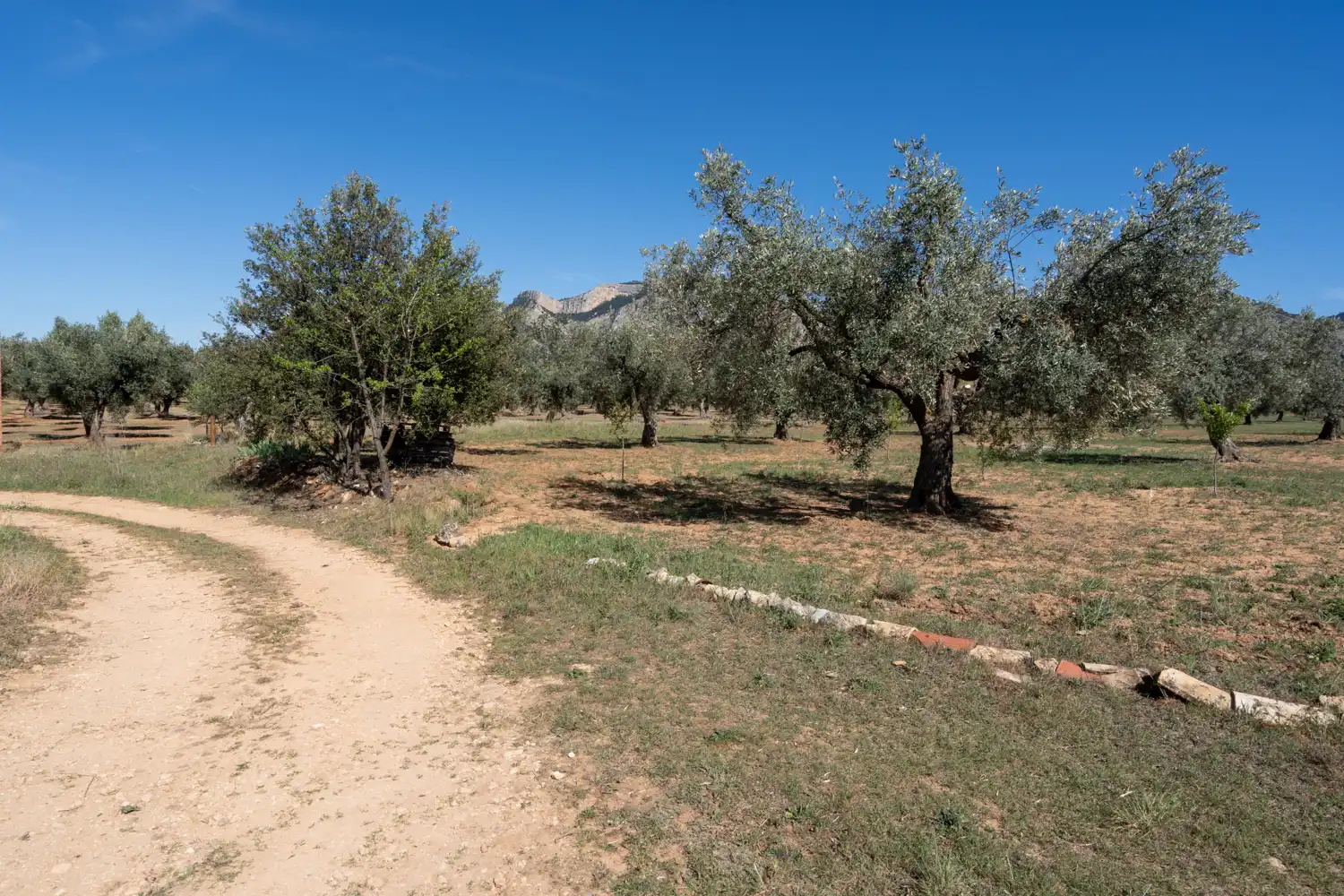 Rural land for sale in Raval dels Àngels 18, imagen 26