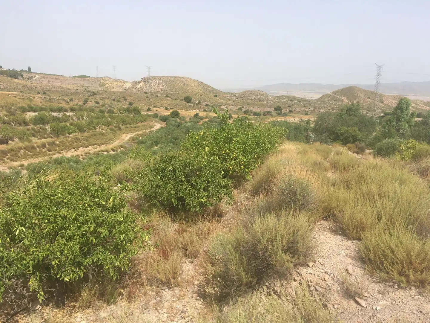 Country house zum Verkauf in Lorca mit Privatgarten und Schwimmbad
