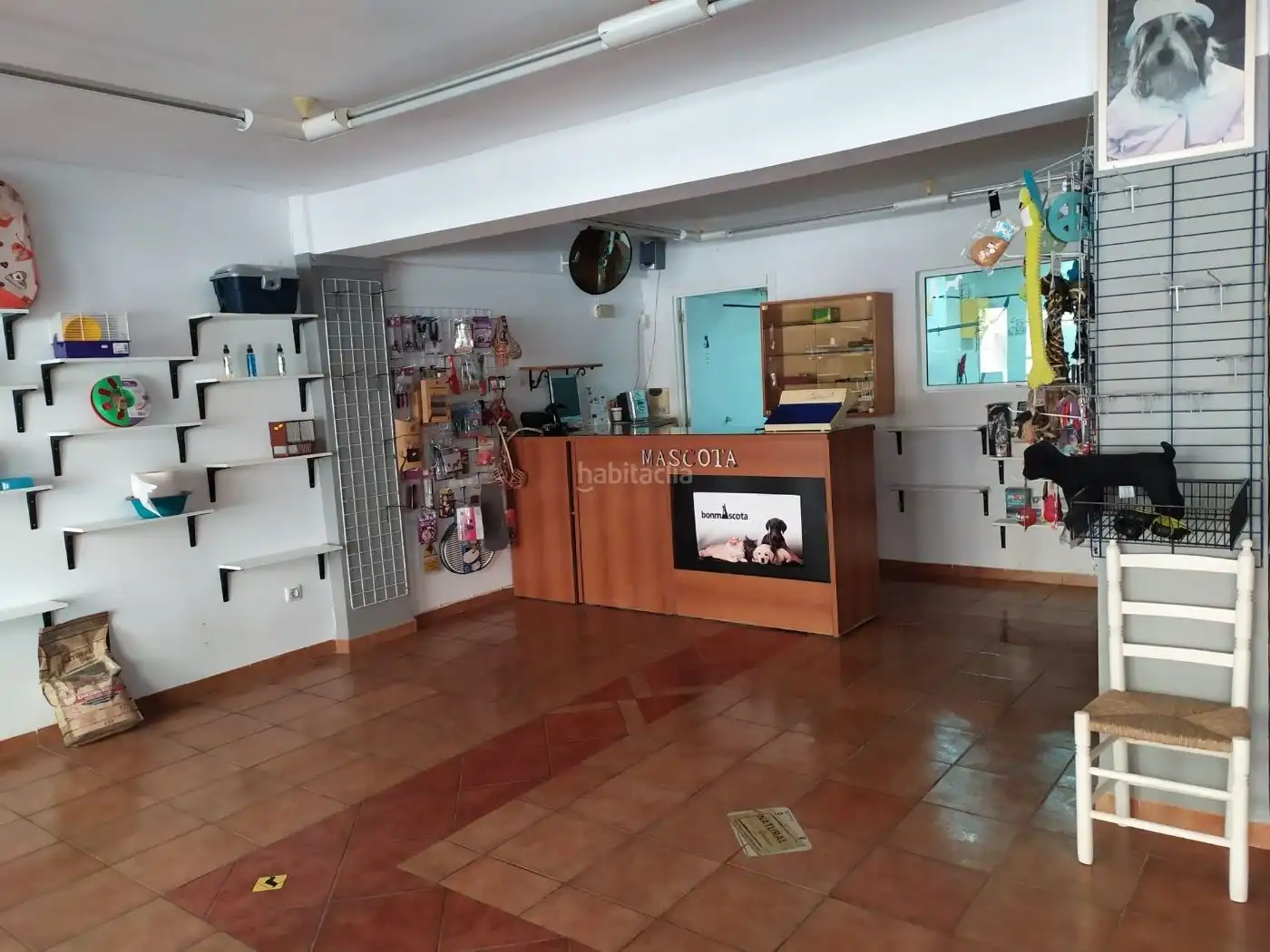 Local comercial en venda a Avenida Vicente Ferri 45, imagen 4