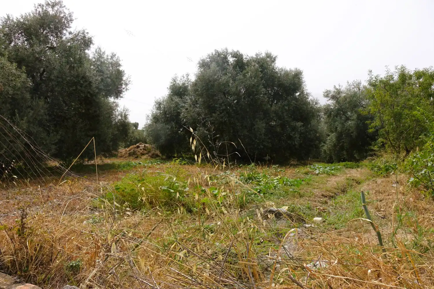 Finca rústica en venda en Órgiva
