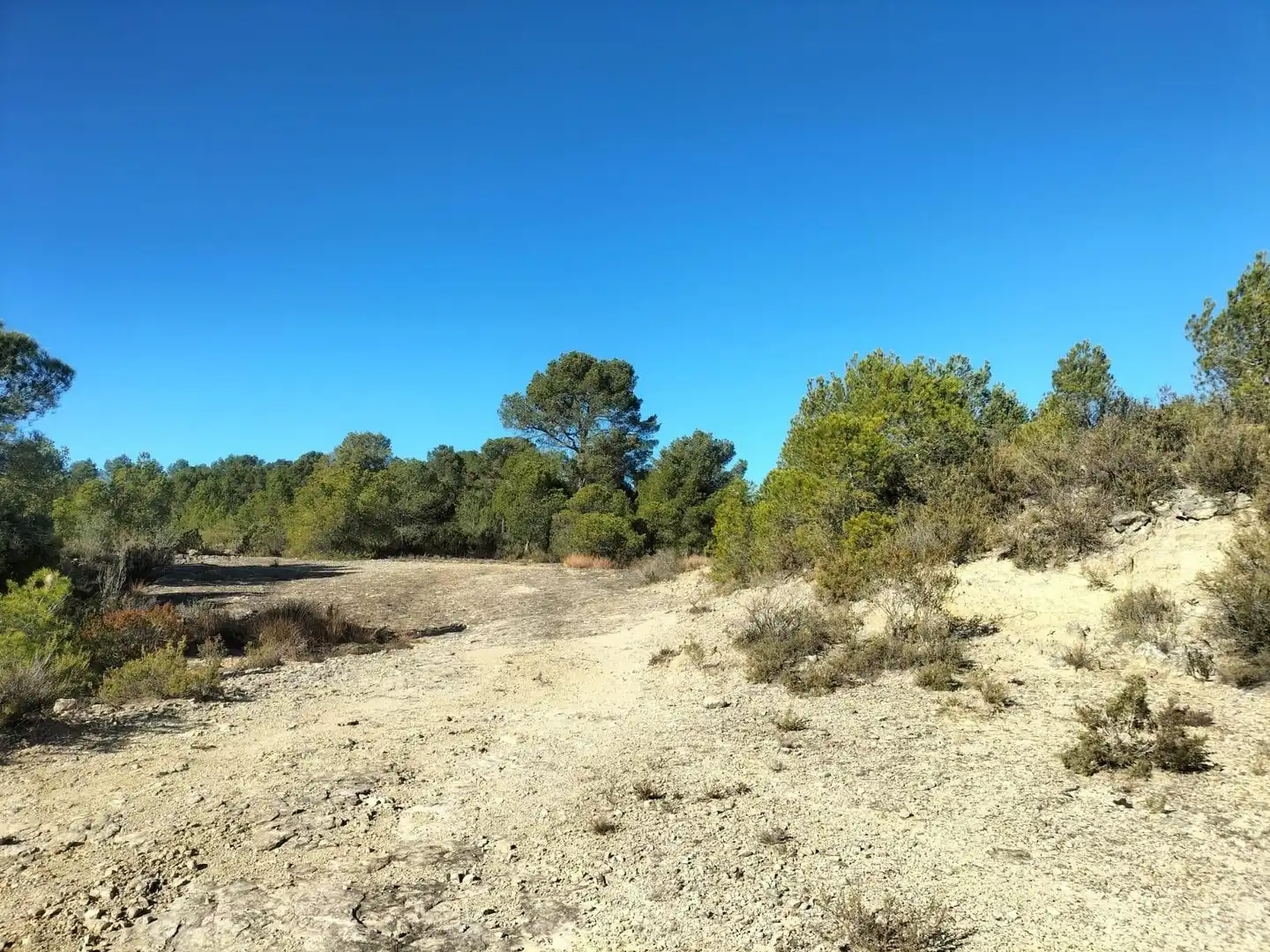 Terreno rustico in vendita a Polígono 6 Parcela 31 CARRASQUETA. NAVARRES (VALE 6, imagen 16