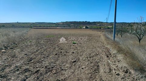 SE VENDE PARCELA EN BARBARROJA CERCA DEL PUEBLO, imatge 5