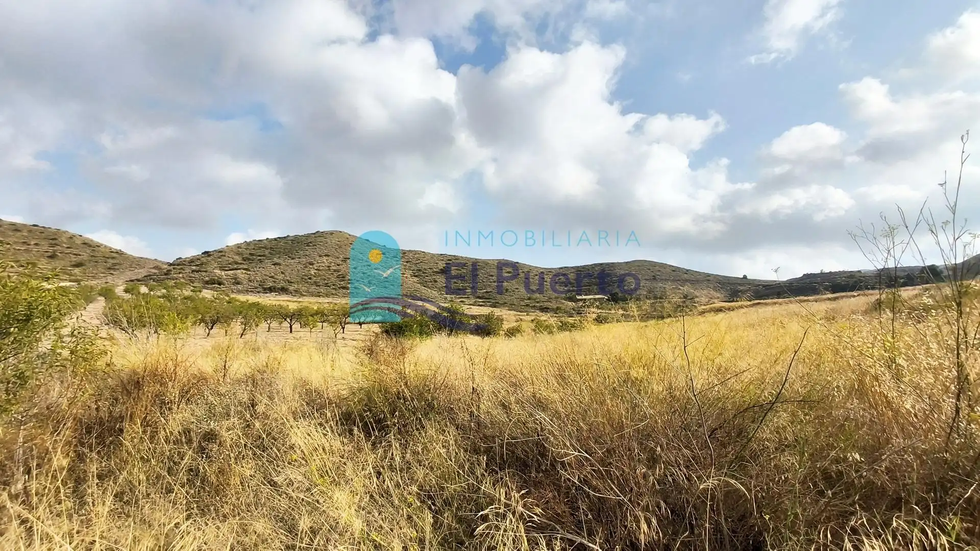 Terreny rústic en venda a Pedanías Sur, imagen 14