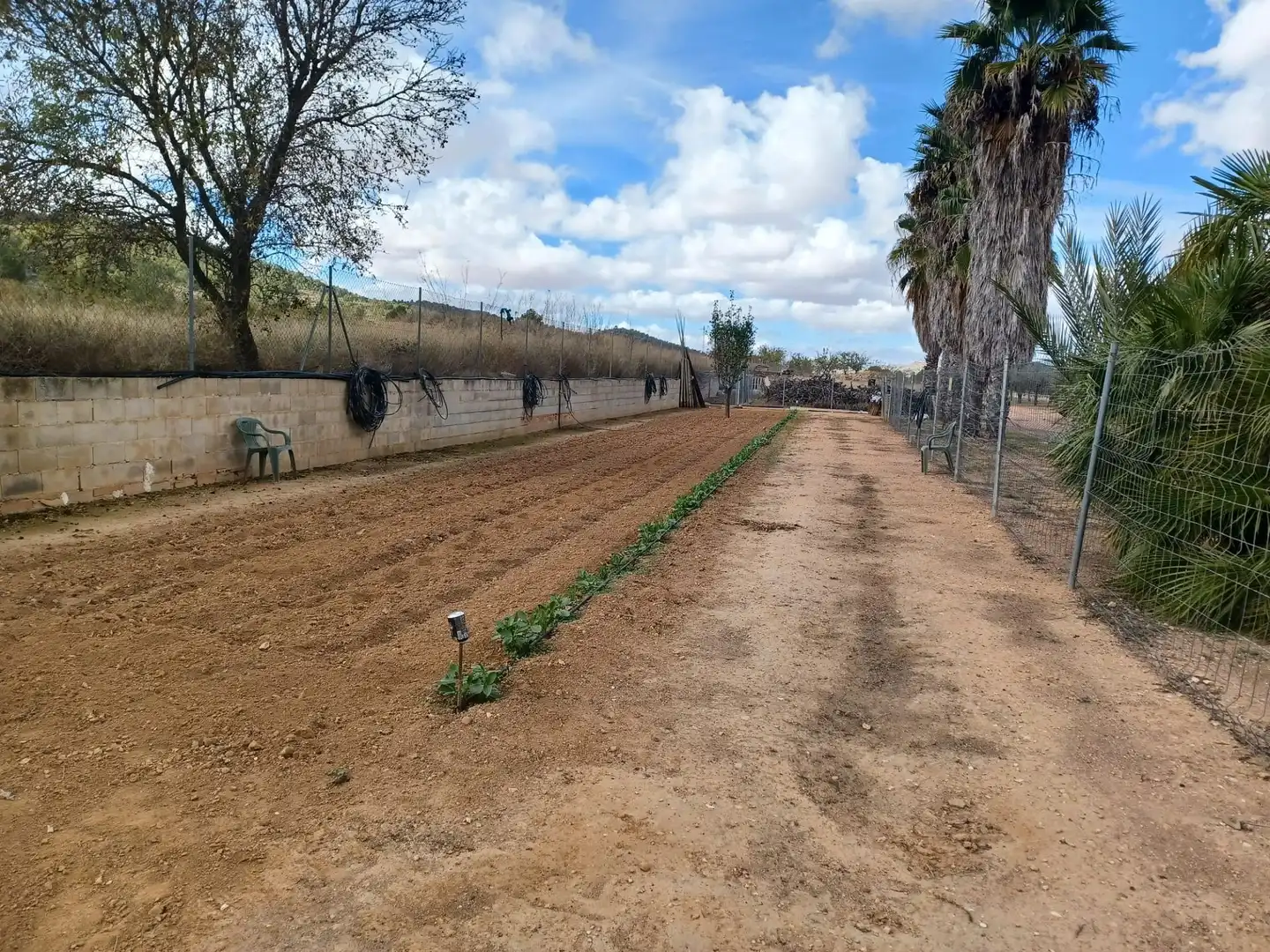 Casa rústica en venta en Monóvar  / Monòver, imagen 12