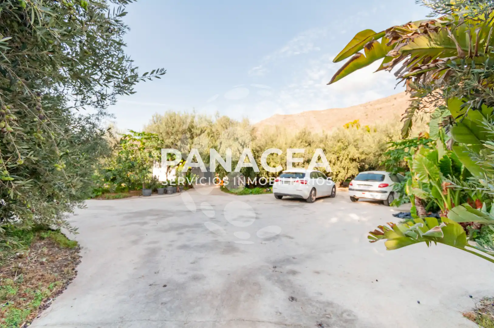 Finca rústica en venta en Vícar Pueblo